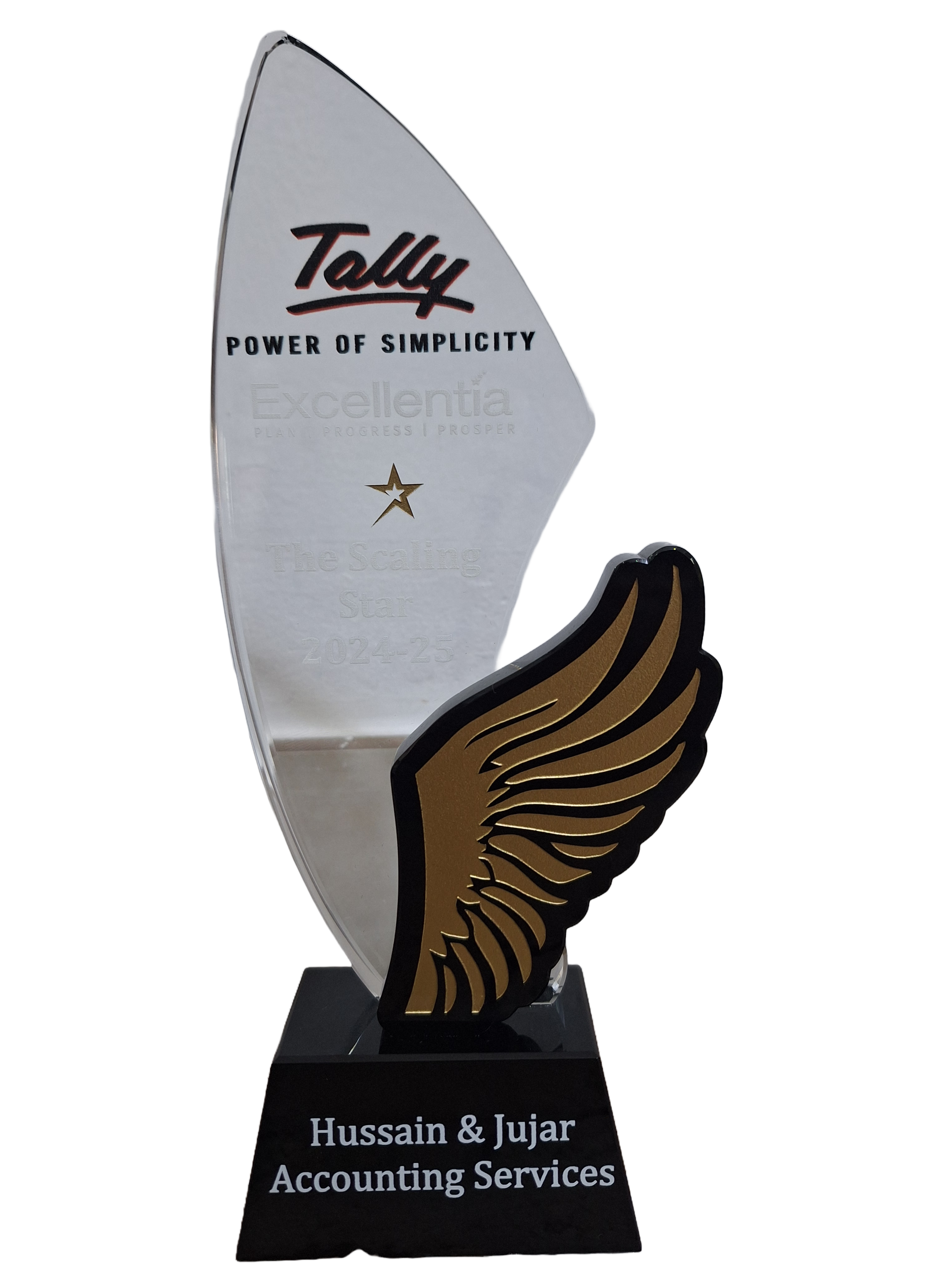 Win Award of Emerging Channel partner by tally solutions in dubai
